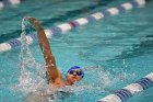 Swimming & Diving vs Babson  Swimming & Diving vs Babson College. - Photo by Keith Nordstrom : Wheaton, Swimming